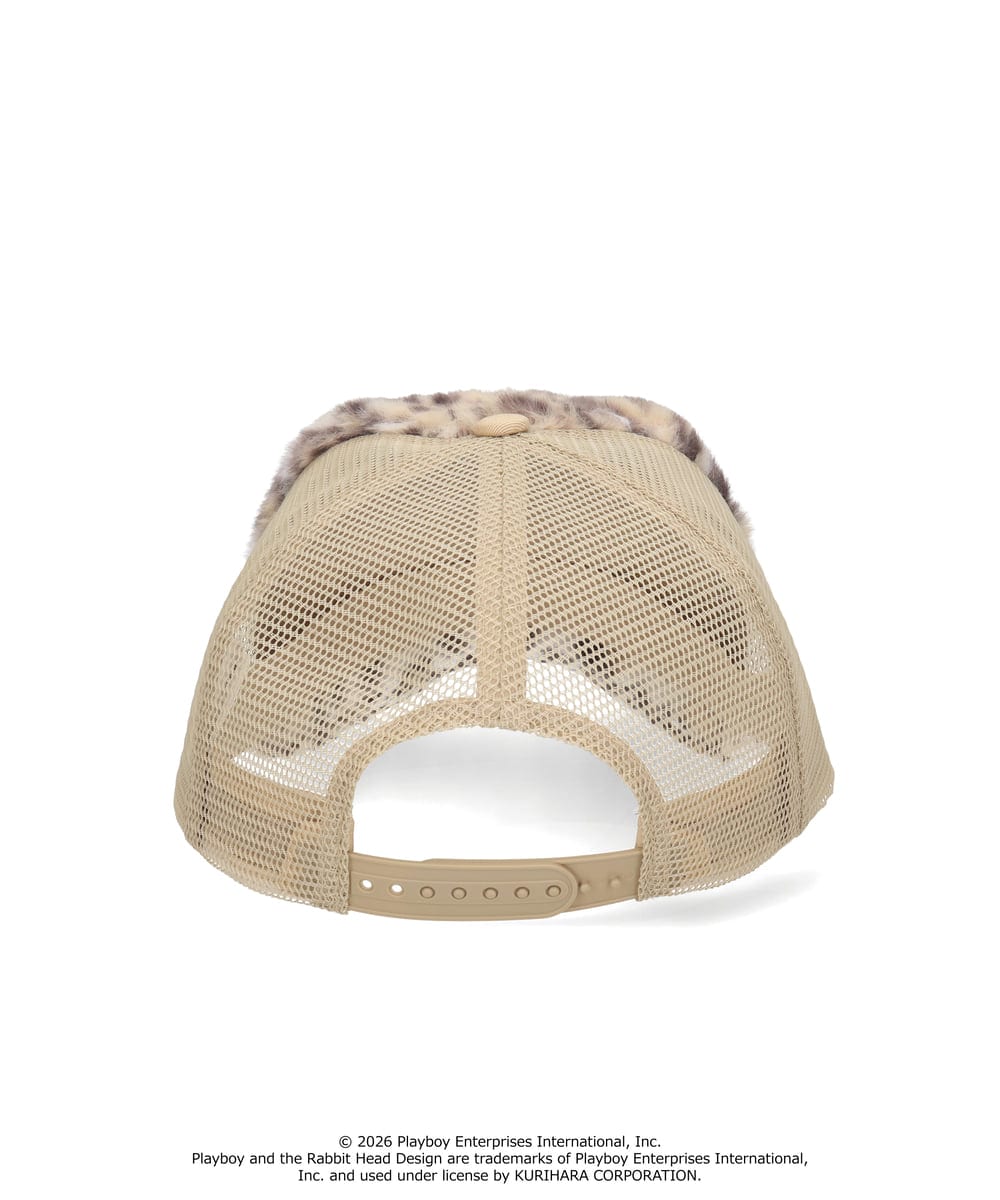 IVORY LEO